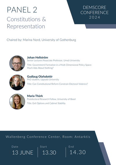 Panel 2_Constitutions and Representation